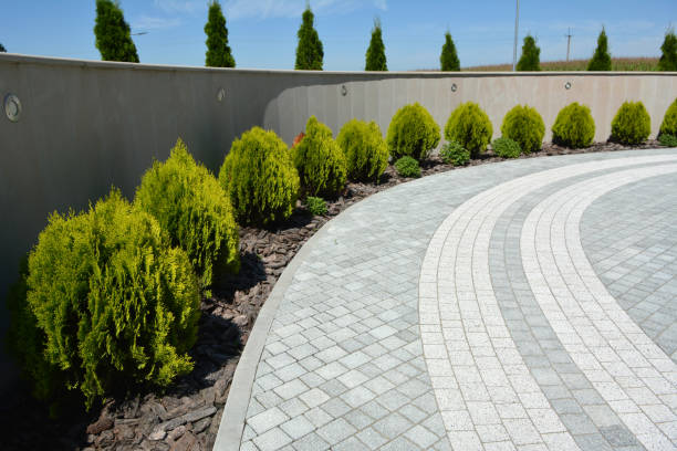 Best Driveway Pavers Near Me  in Fountain Inn, SC